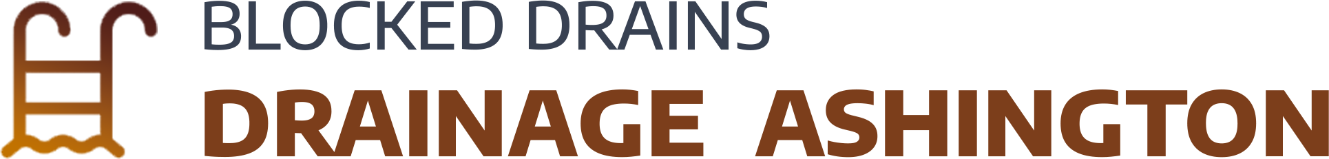 website logo